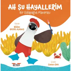 Ah Şu Hayallerim