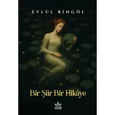 Bir Şiir Bir Hikâye