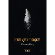 Her Şey Düşer