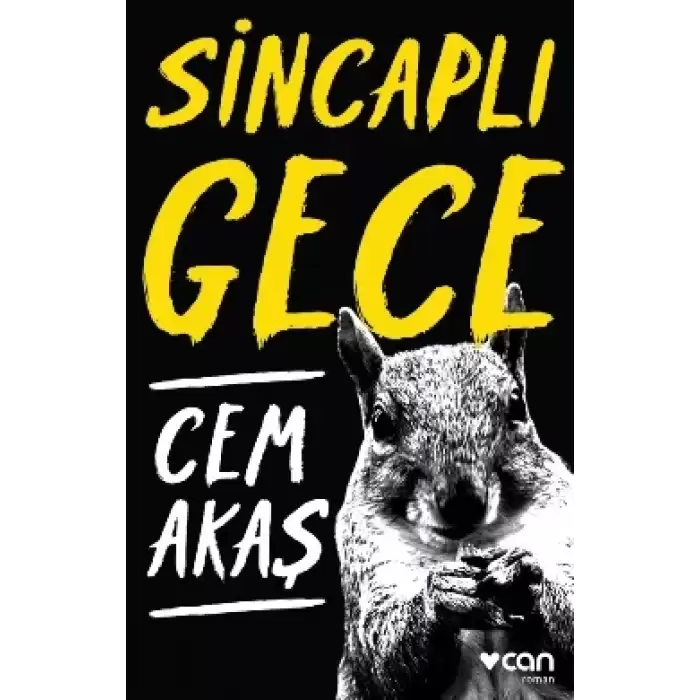 Sincaplı Gece