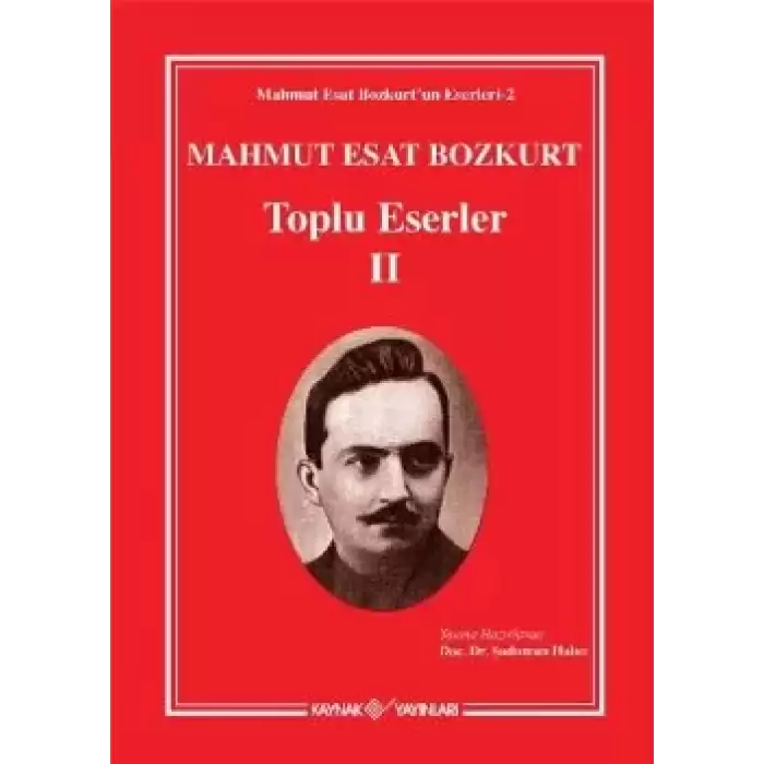 Mahmut Esat Bozkurt - Toplu Eserler 2