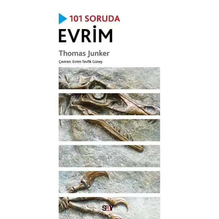 101 Soruda Evrim