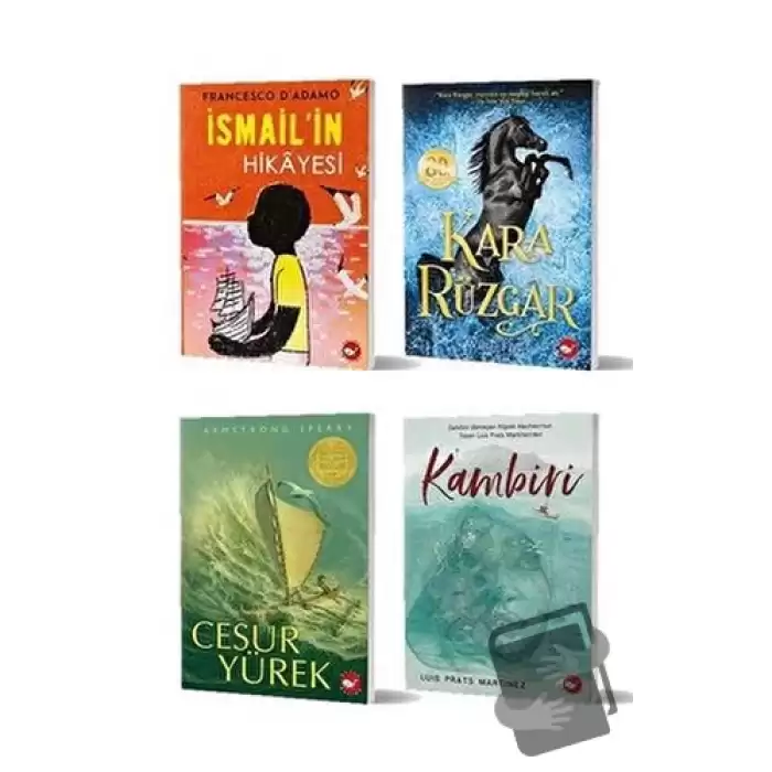 11+ Yaş İçin Okuma Seti (4 Kitap Takım)