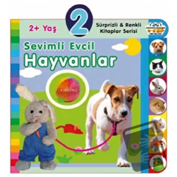 2+ Yaş Sevimli Evcil Hayvanlar (Ciltli)