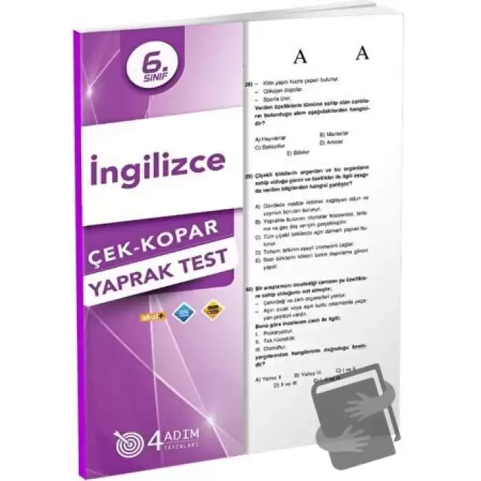 6. Sınıf İngilizce Çek Kopar Yaprak Test