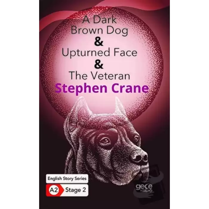 A Dark Brown Dog - Upturned Face - The Veteran - İngilizce Hikayeler A2 Stage 2