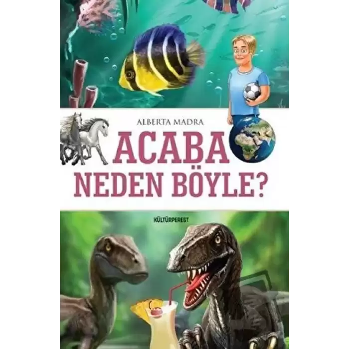 Acaba Neden Böyle?