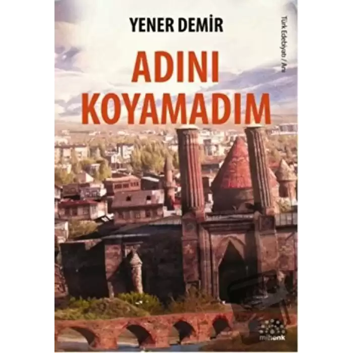 Adını Koyamadım