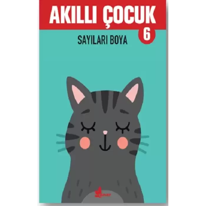 Akıllı Çocuk 6 – Sayıları Boya