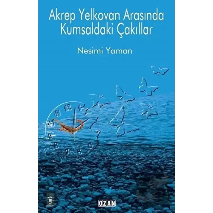 Akrep Yelkovan Arasında Kumsaldaki Çakıllar