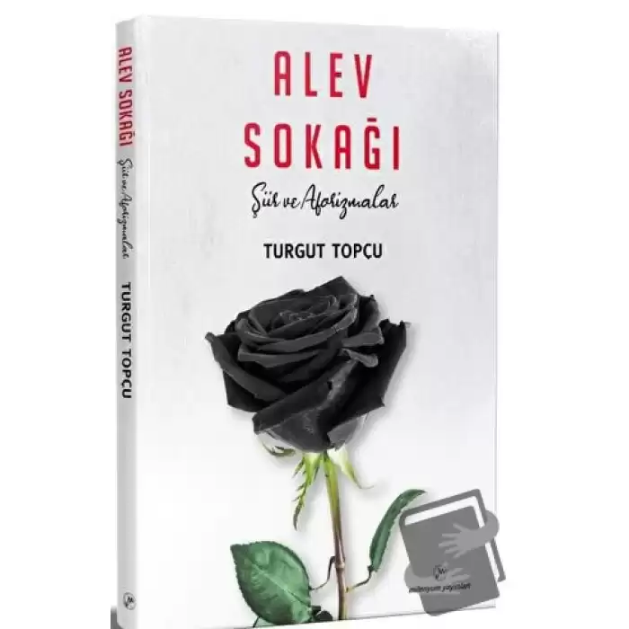 Alev	Sokağı