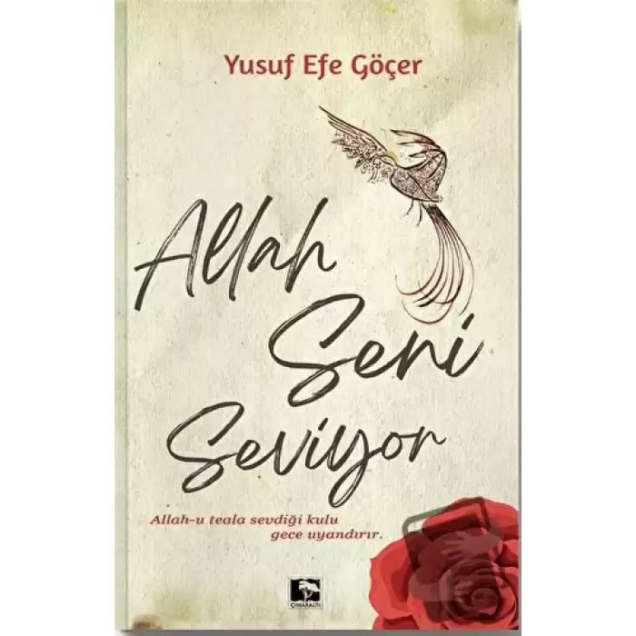 Allah Seni Seviyor