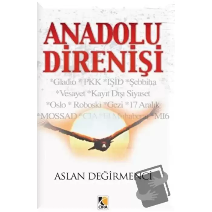 Anadolu Direnişi