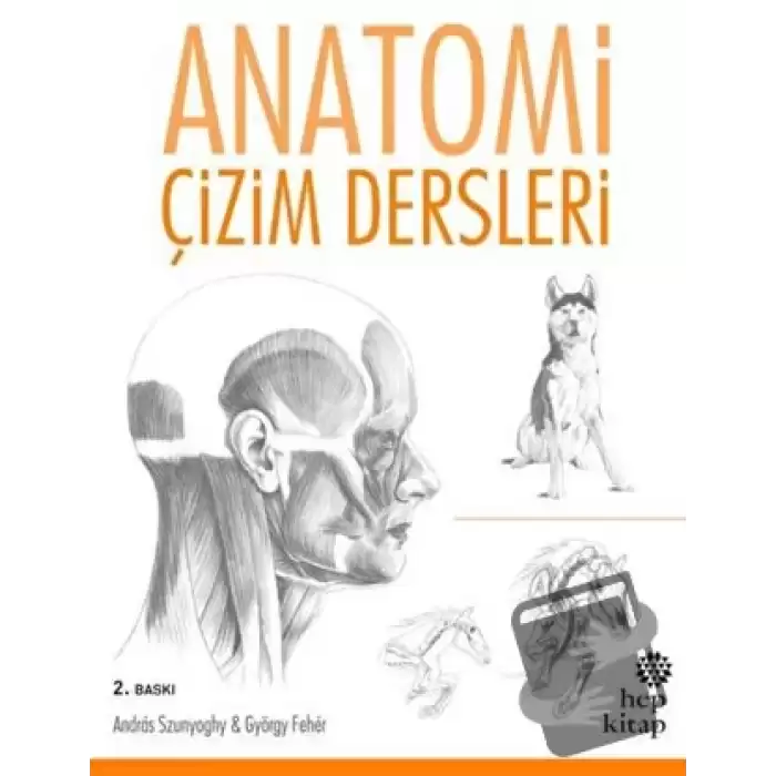 Anatomi Çizim Dersleri