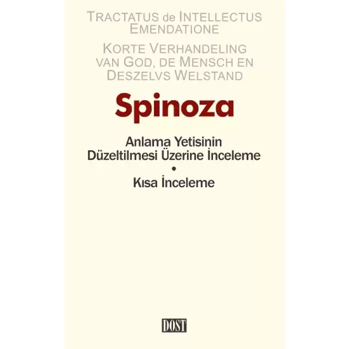 Anlama Yetisinin Düzeltilmesi Üzerine İnceleme • Kısa İnceleme