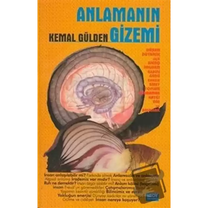 Anlamanın Gizemi