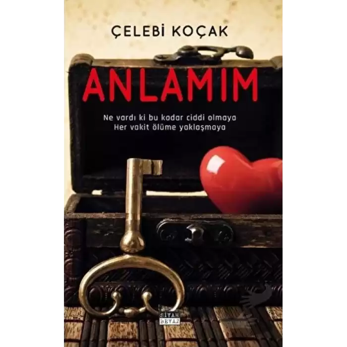 Anlamım