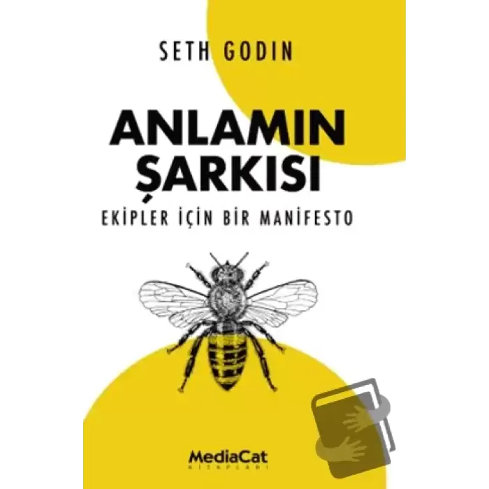 Anlamın Şarkısı