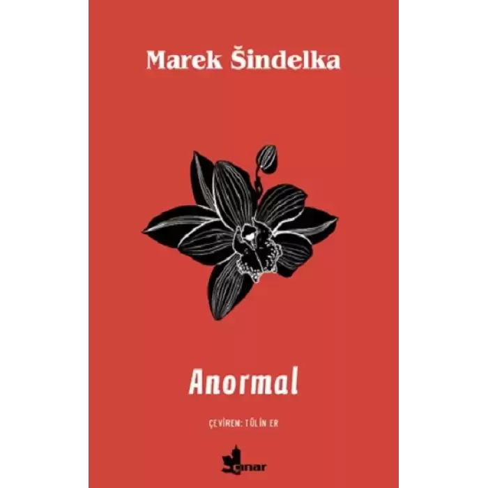 Anormal