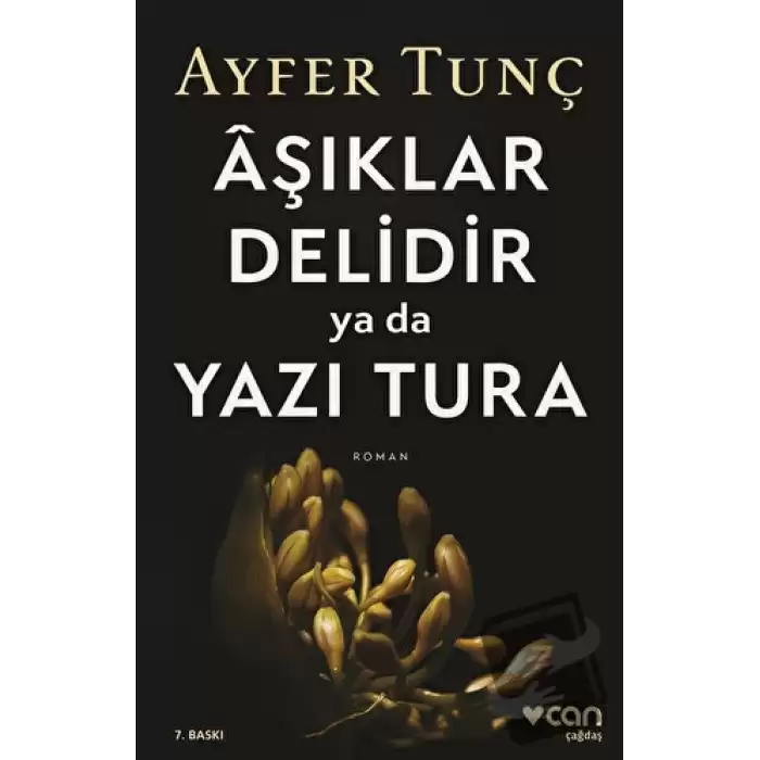 Aşıklar Delidir Ya Da Yazı Tura