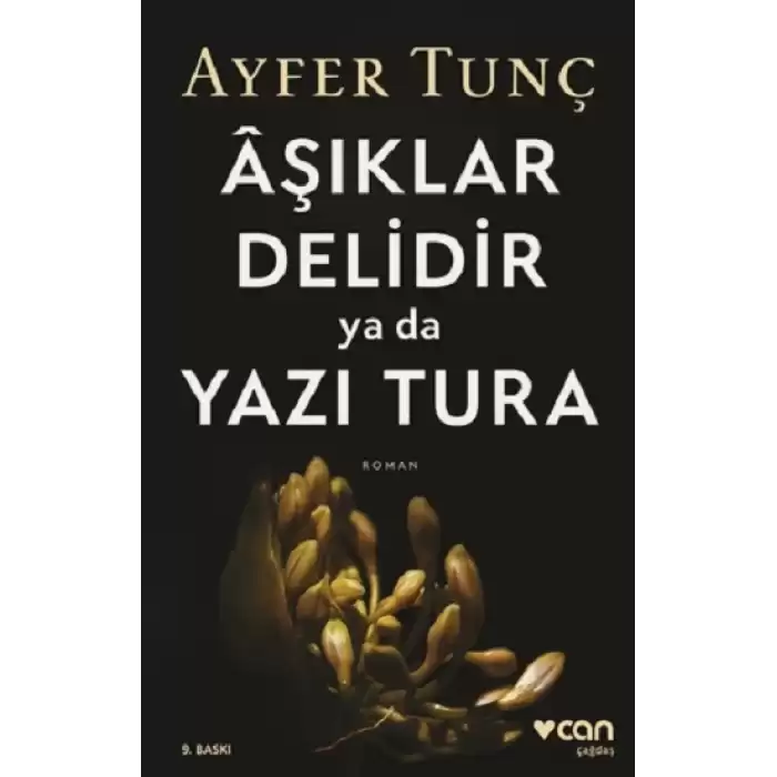 Aşıklar Delidir ya da Yazı Tura