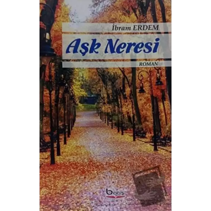 Aşk Neresi