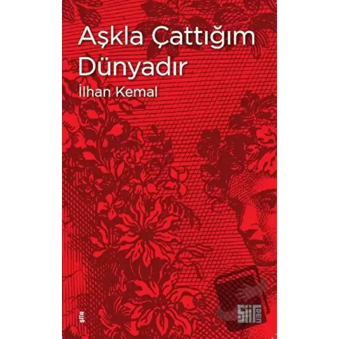 Aşkla Çattığım Dünyadır