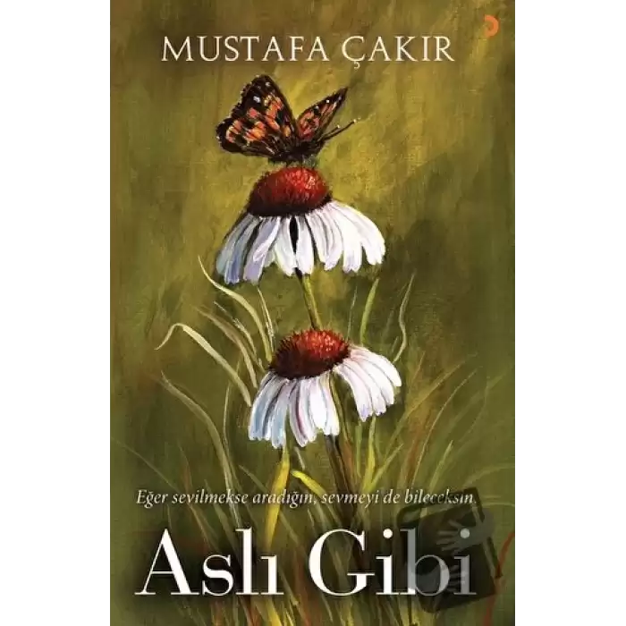 Aslı Gibi