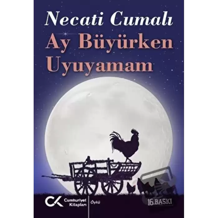 Ay Büyürken Uyuyamam