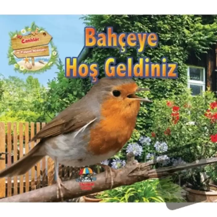 Bahçeye Hoş Geldiniz - Canlılar ve Yaşam Alanları