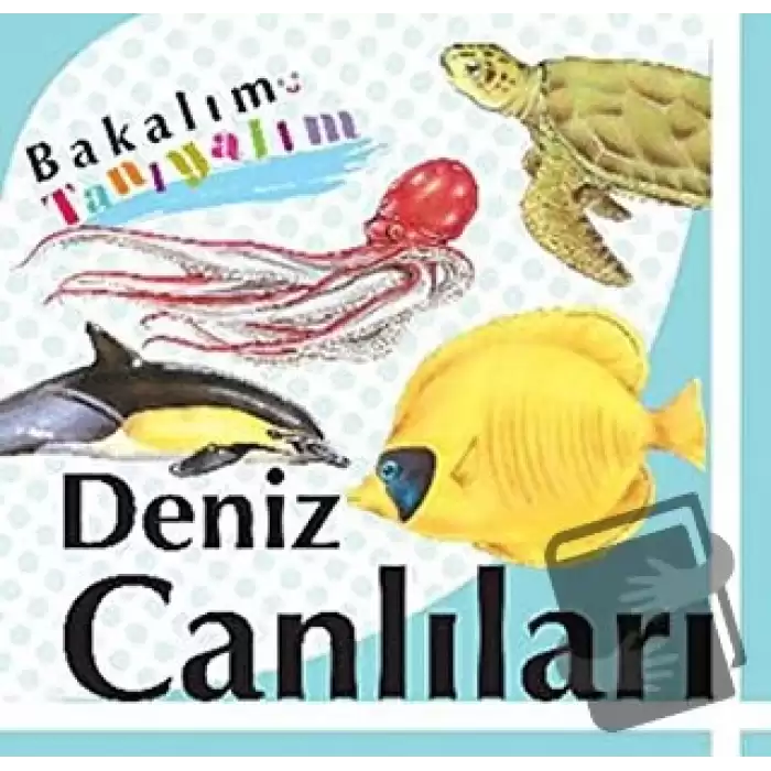 Bakalım Tanıyalım: Deniz Canlıları (Ciltli)