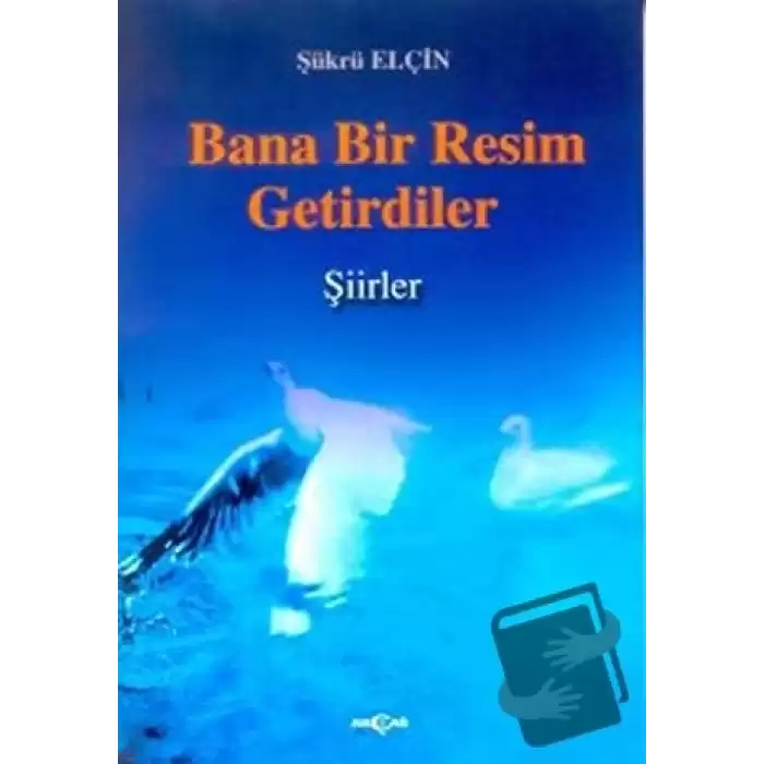 Bana Bir Resim Getirdiler