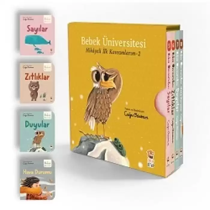 Bebek Üniversitesi 2 / Hikayeli İlk Kavramlarım Set (4 Kitap)