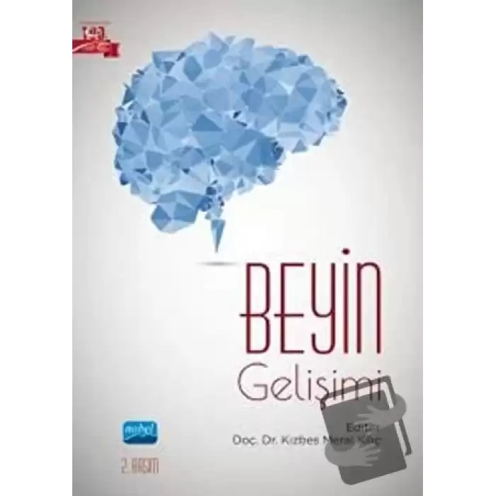 Beyin Gelişimi