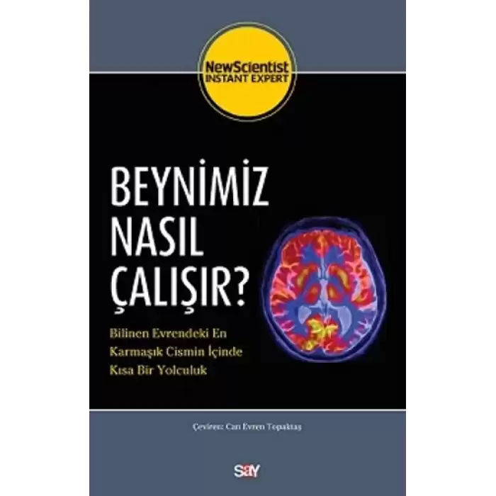 Beynimiz Nasıl Çalışır?