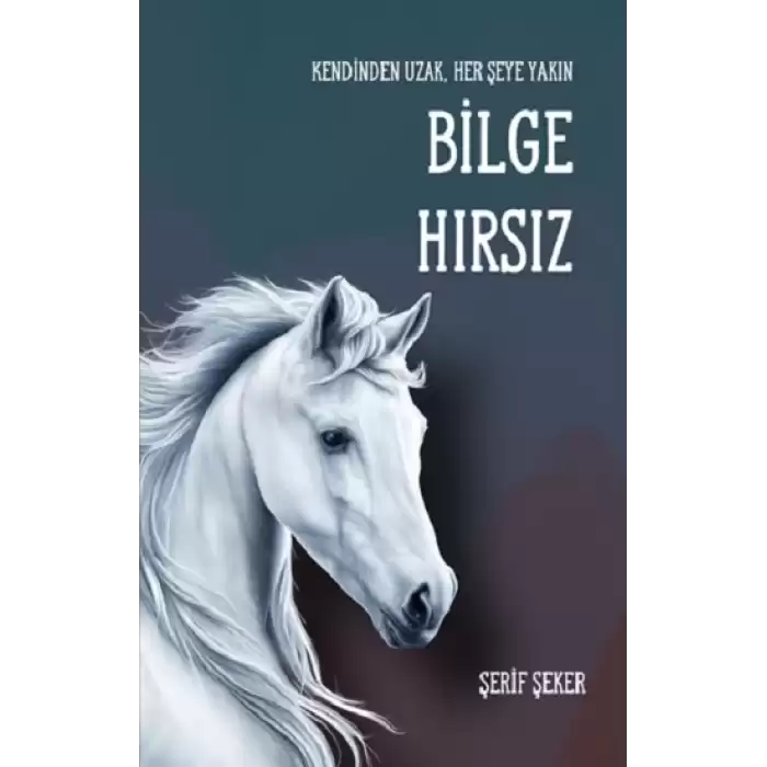 Bilge Hırsız