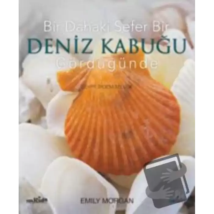 Bir Dahaki Sefer Bir Deniz Kabuğu Gördüğünde