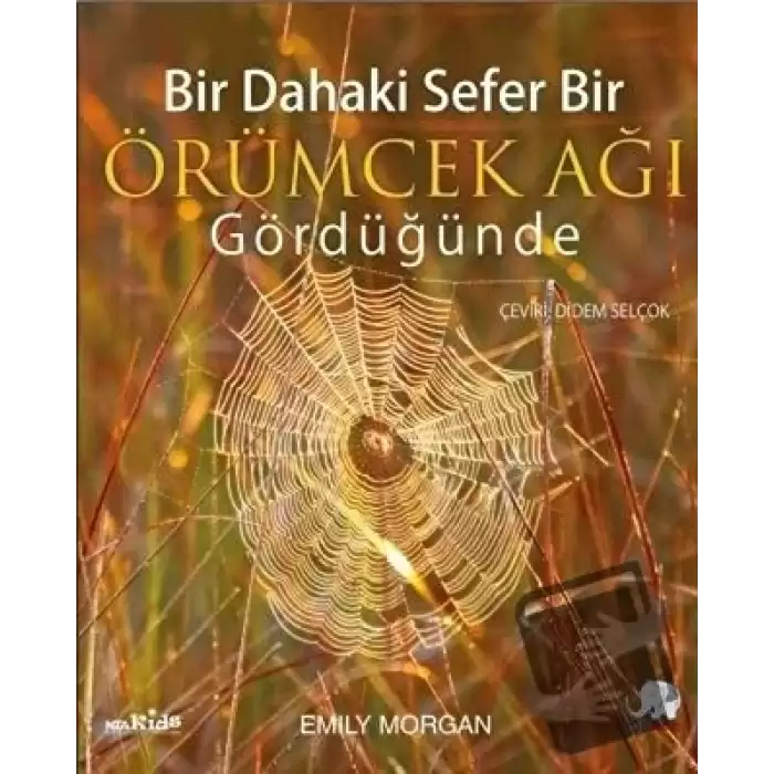 Bir Dahaki Sefer Bir Örümcek Ağı Gördüğünde