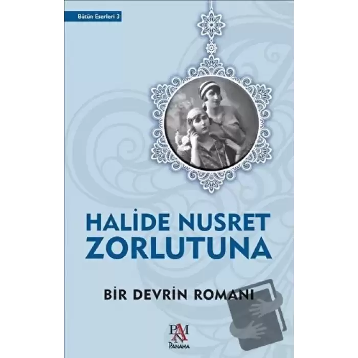 Bir Devrin Romanı