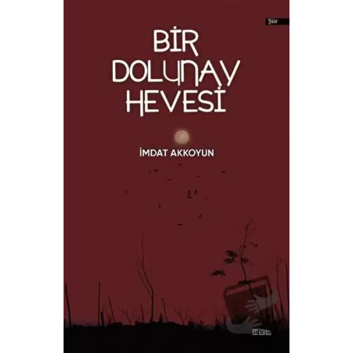 Bir Dolunay Hevesi