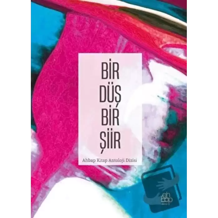 Bir Düş Bir Şiir