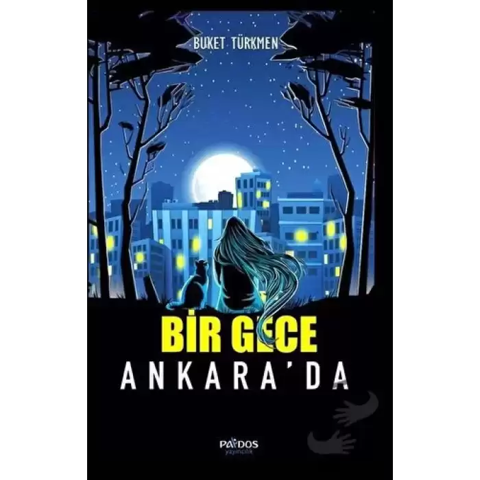 Bir Gece Ankarada