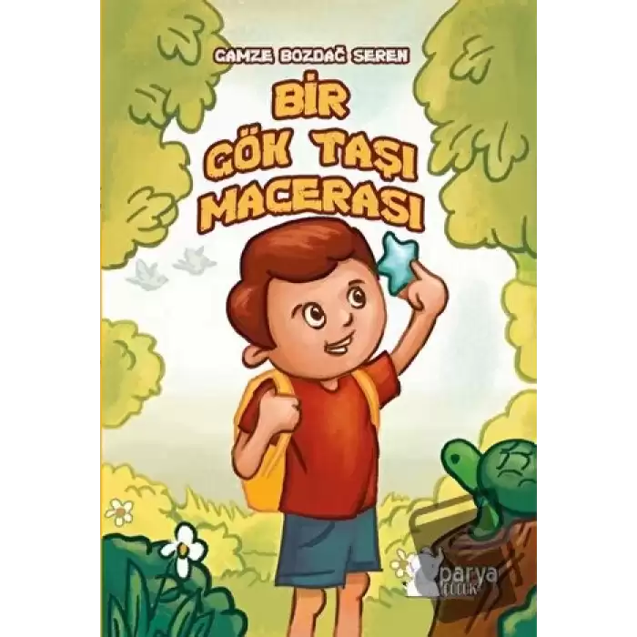 Bir Gök Taşı Macerası