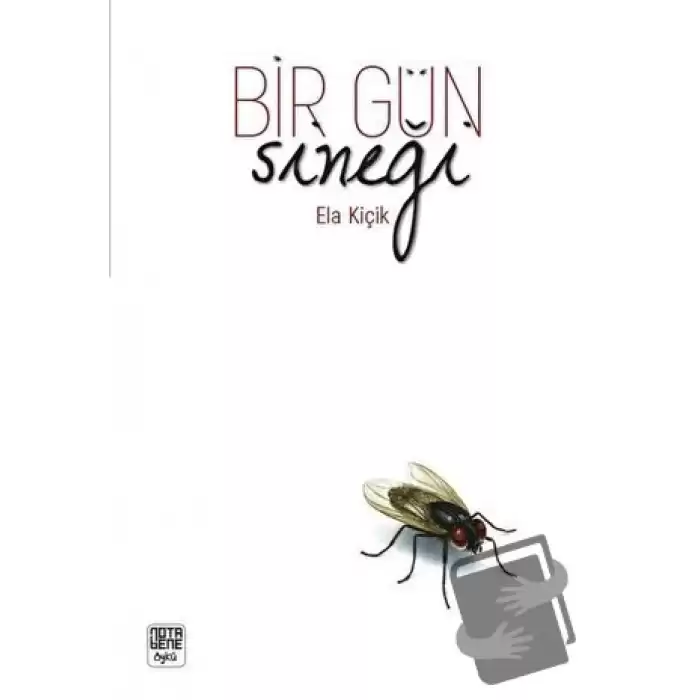 Bir Gün Sineği