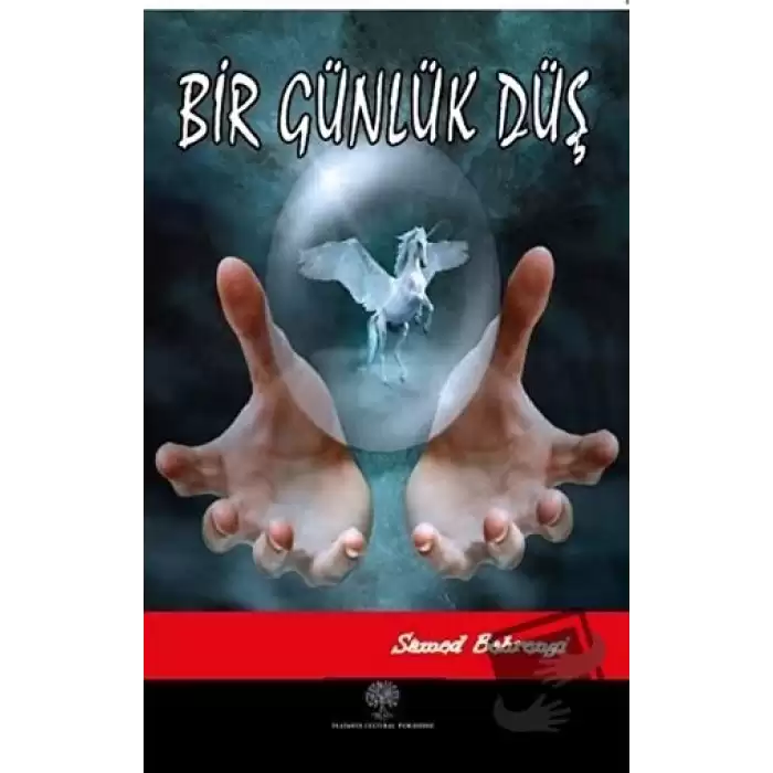 Bir Günlük Düş