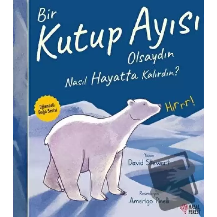 Bir Kutup Ayısı Olsaydın Nasıl Hayatta Kalırdın?