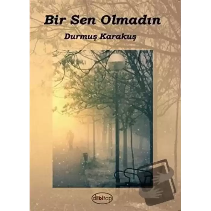 Bir Sen Olmadın