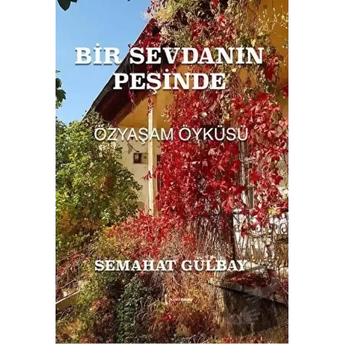 Bir Sevdanın Peşinde