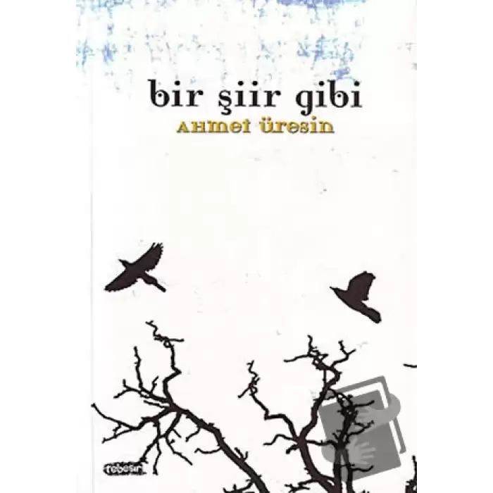 Bir Şiir Gibi