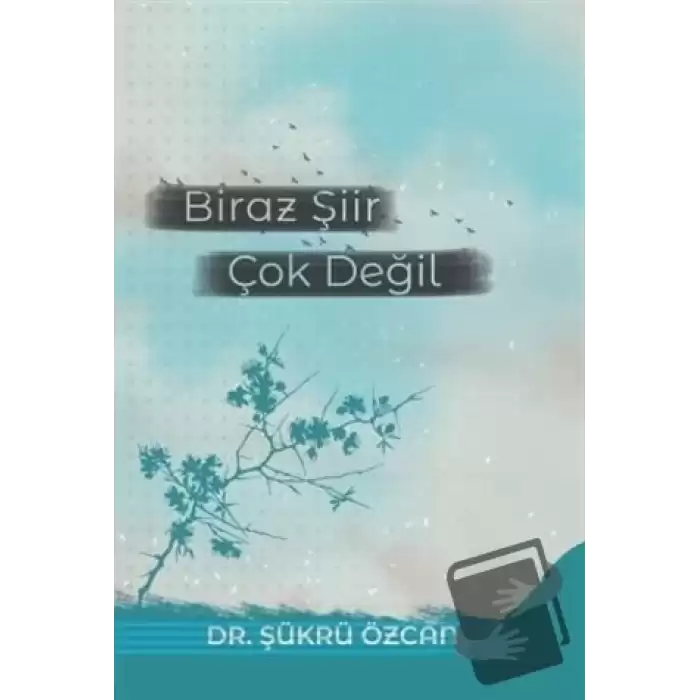 Biraz Şiir Çok Değil